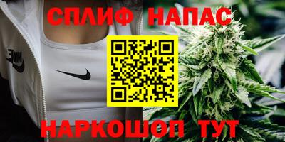 прущие грибы Ирбит