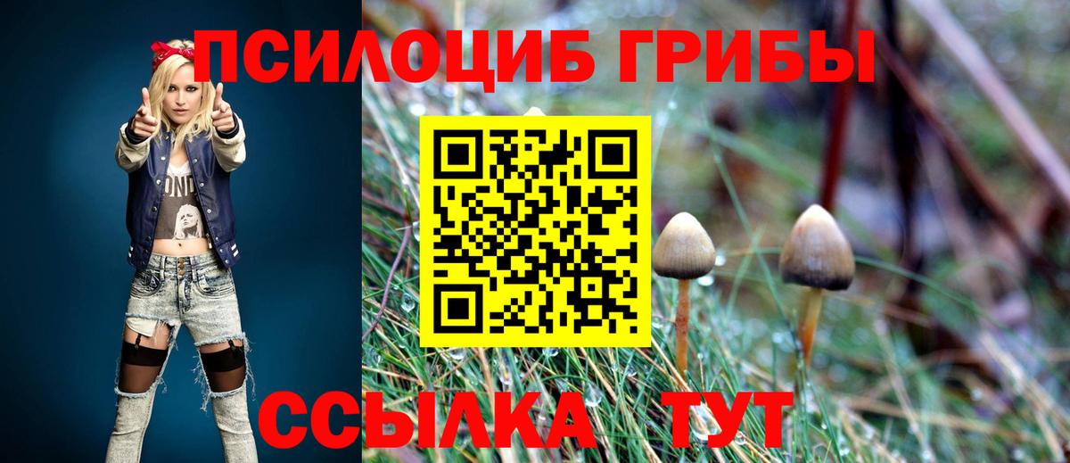Корсаков  наркошоп  Псилоцибиновые грибы Psilocybe  Вход с VPN  Псилоцибиновые грибы мицелий 